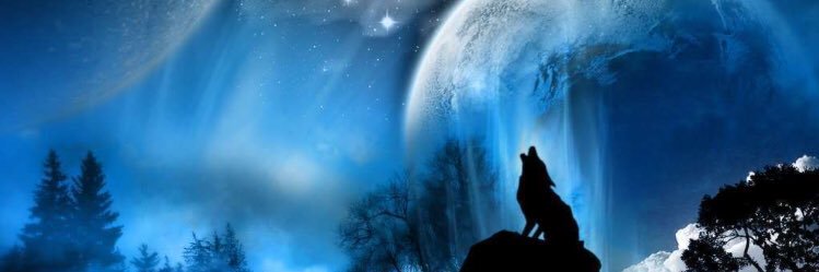 Lady Of The Night banner