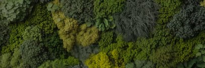 NicoStormx's profile banner image