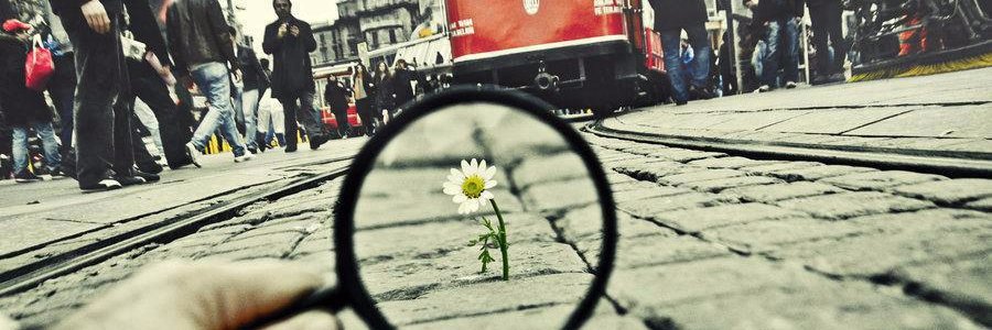 Angiiecampos5's profile banner image