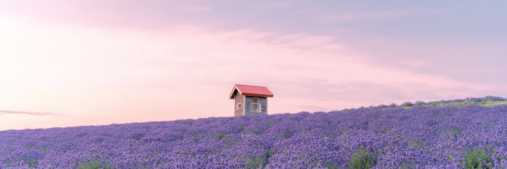 ayapon321's profile banner image