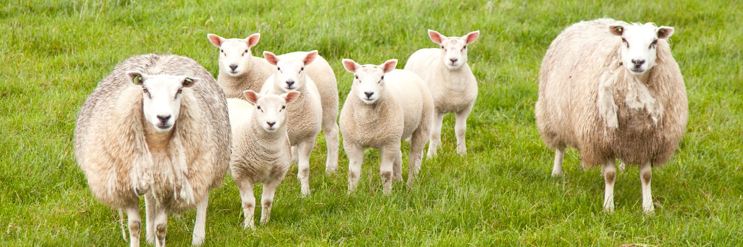 AHDA (Animal Health Distributors Association) banner