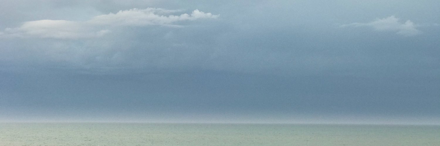 Prof Tamsin Edwards banner