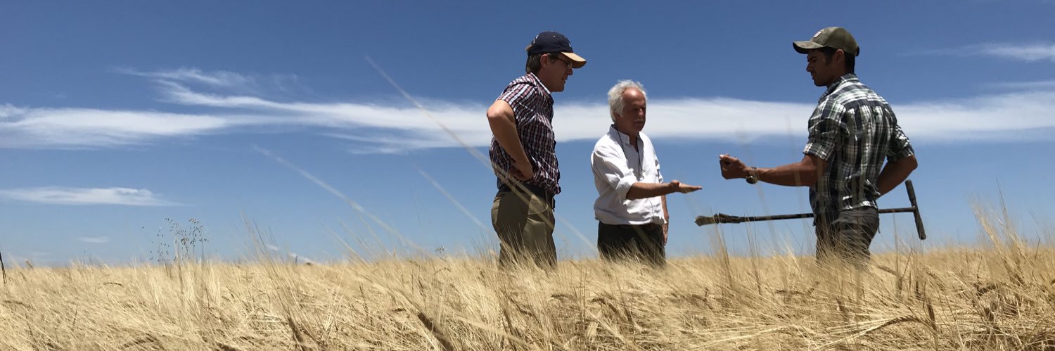 soilcapfarming's profile banner image