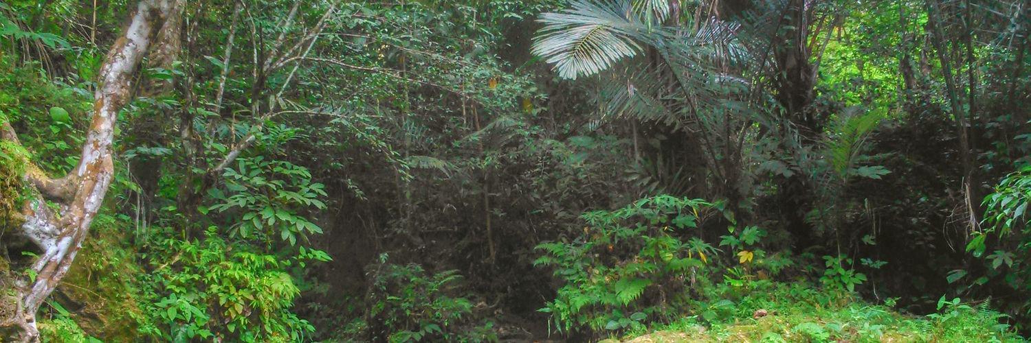 OrangBatudaa's profile banner image