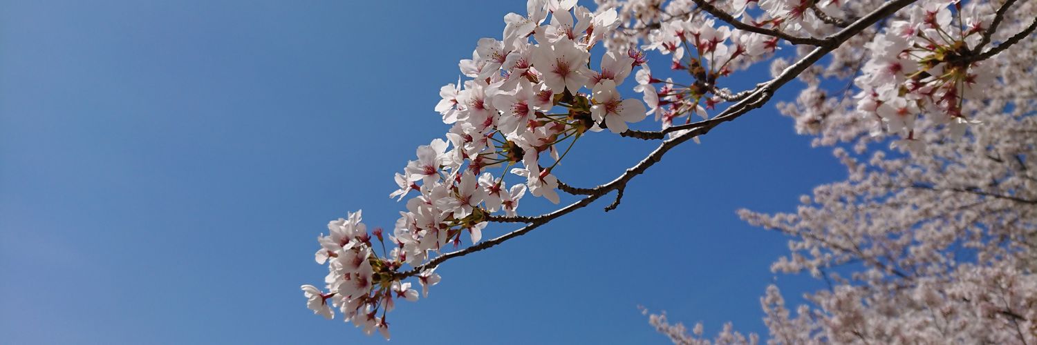 teitoblue's profile banner image