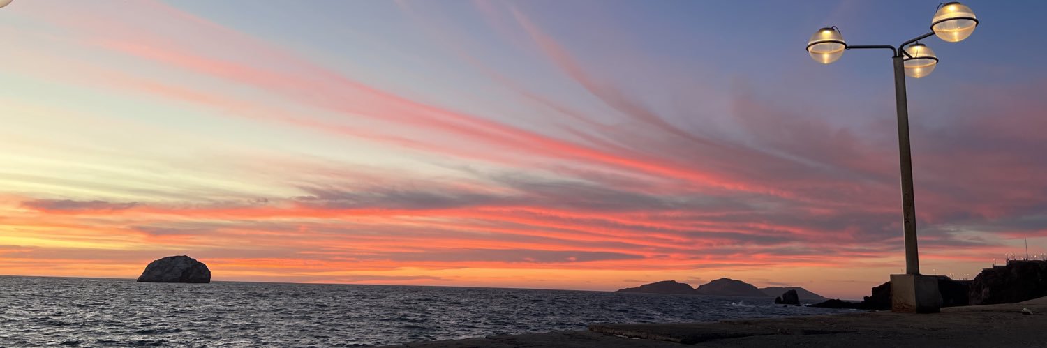 rosxpazos's profile banner image
