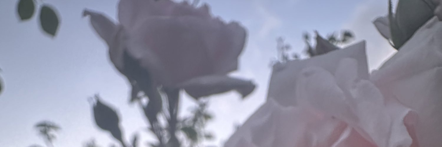 SisterZio's profile banner image