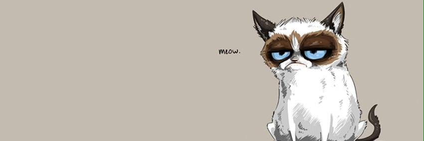 LostKitty31's profile banner image