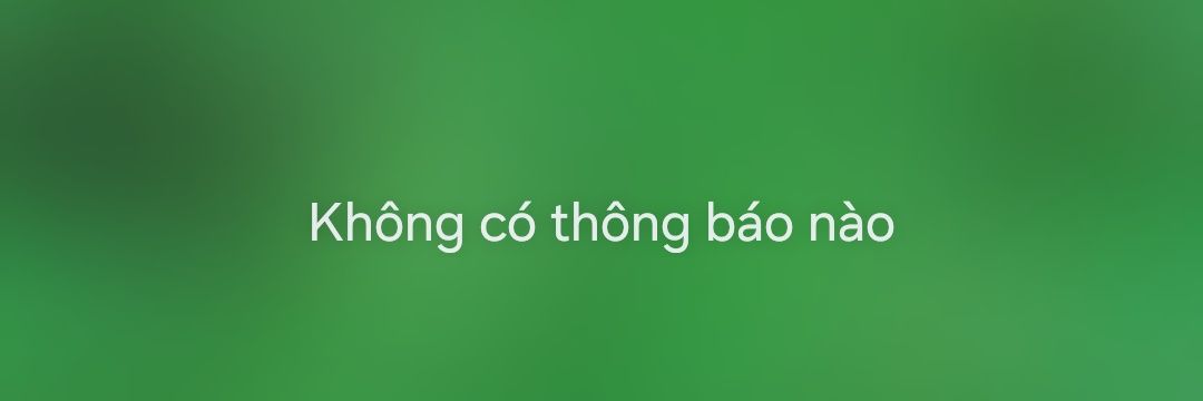 Tuan Anh banner