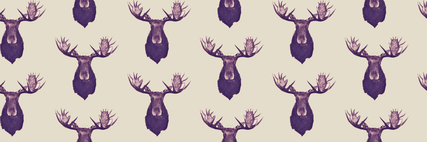 abisawrus's profile banner image