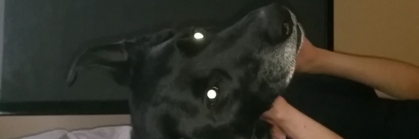 DishmonMorgan's profile banner image