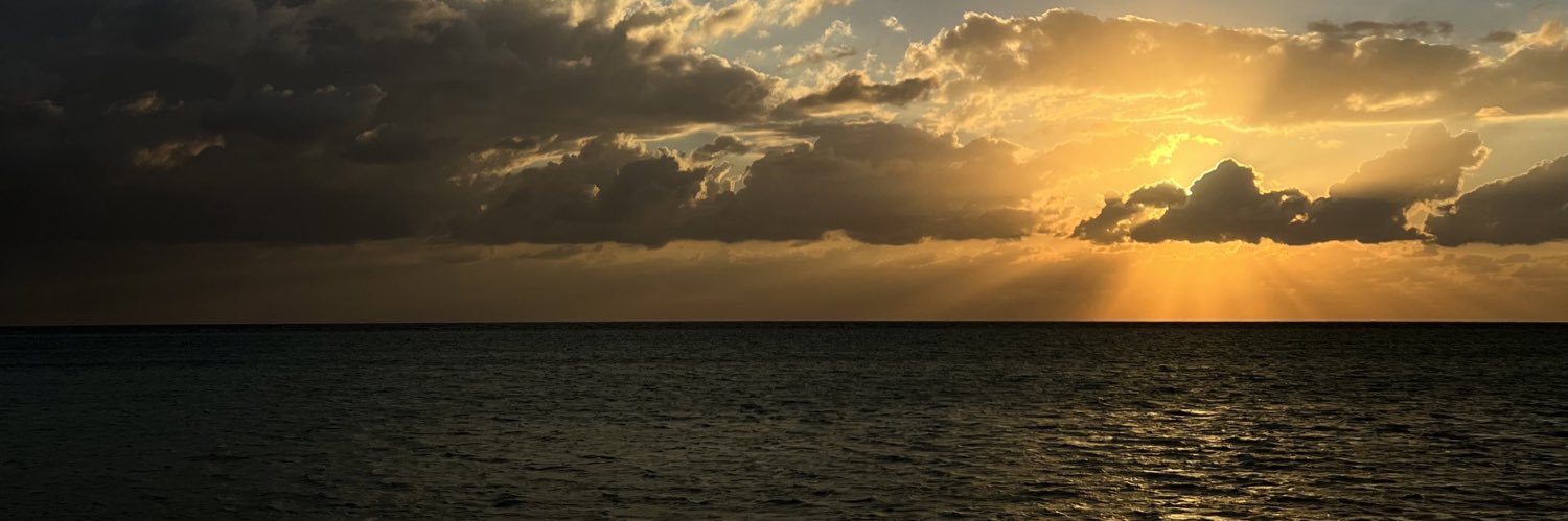 rcx8_'s profile banner image