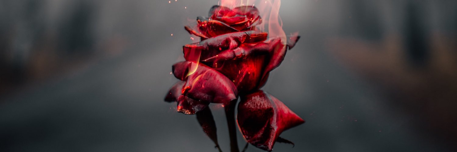 LEELEEROSE88's profile banner image