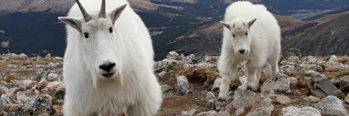 davidhembree's profile banner image