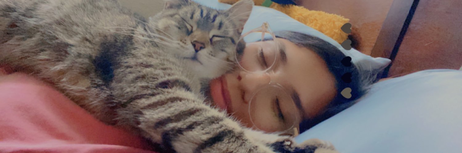 callmemari_sol's profile banner image