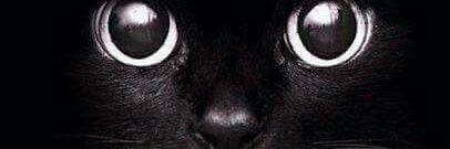 Jorge banner