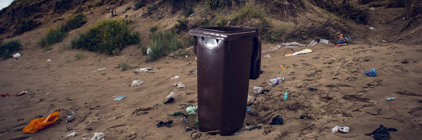 Anything But Plastic banner