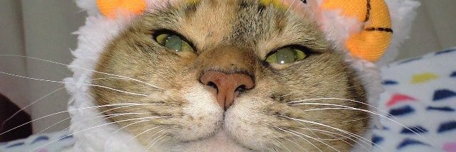 minkingmin's profile banner image