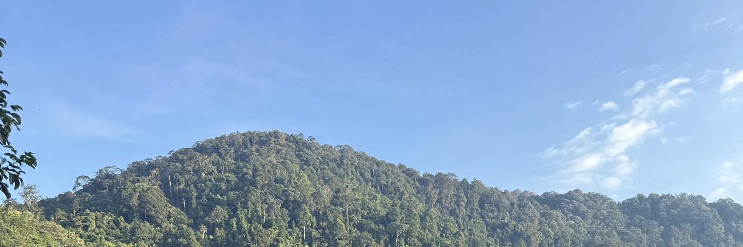 annuratyn's profile banner image