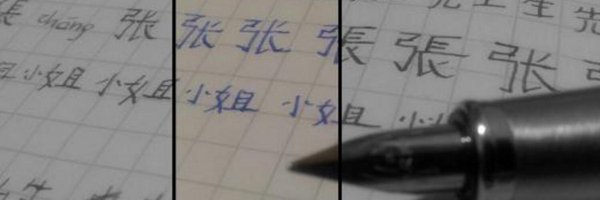 luigiluib Profile Banner