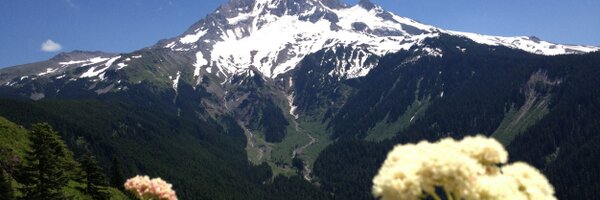 BuechlerKelly Profile Banner