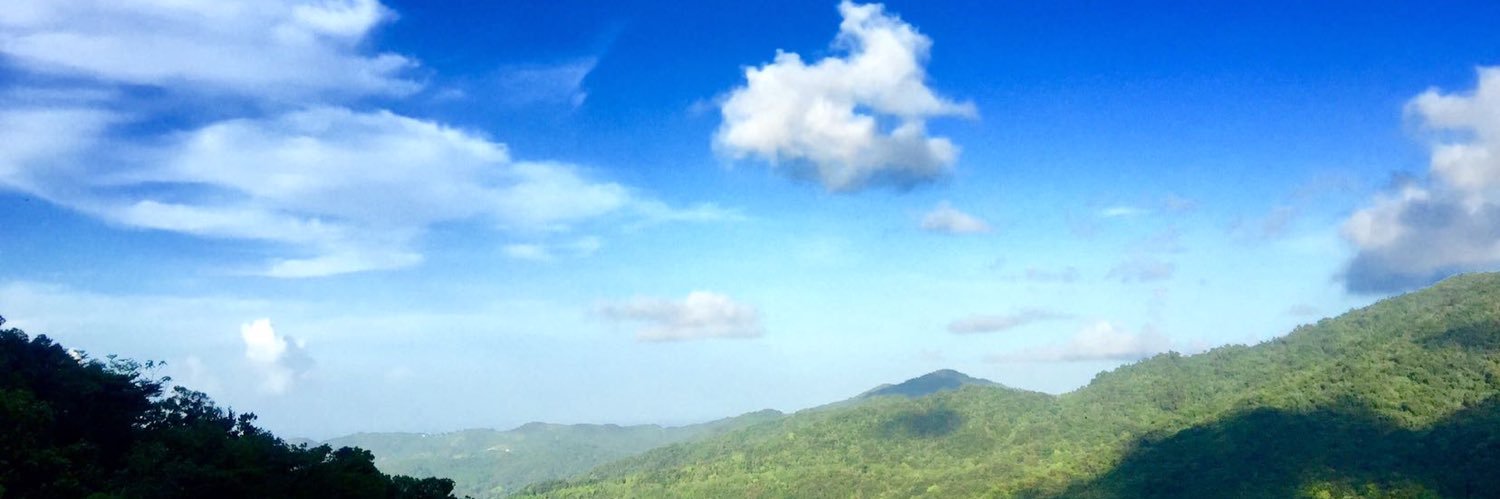 Bailey🌸 banner