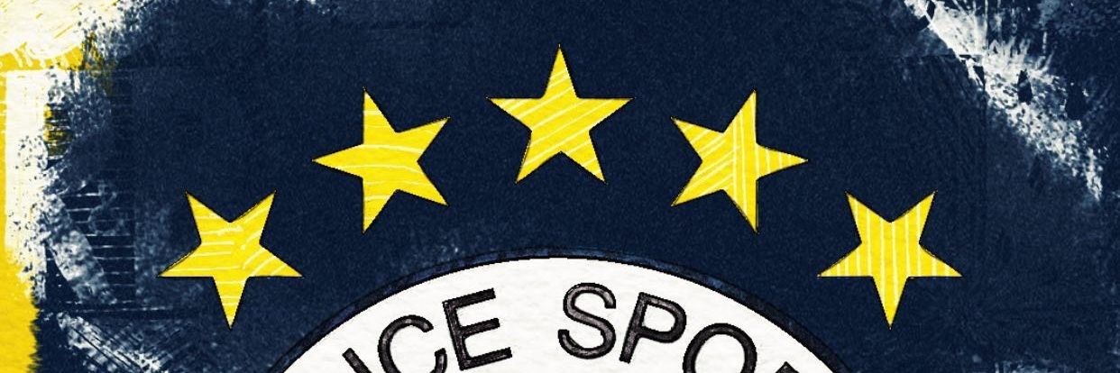 FENERBAHÇE SEVDALISI banner