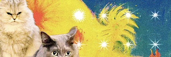 Daok0 Profile Banner