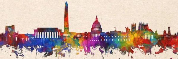 Dem_4_Democracy Profile Banner