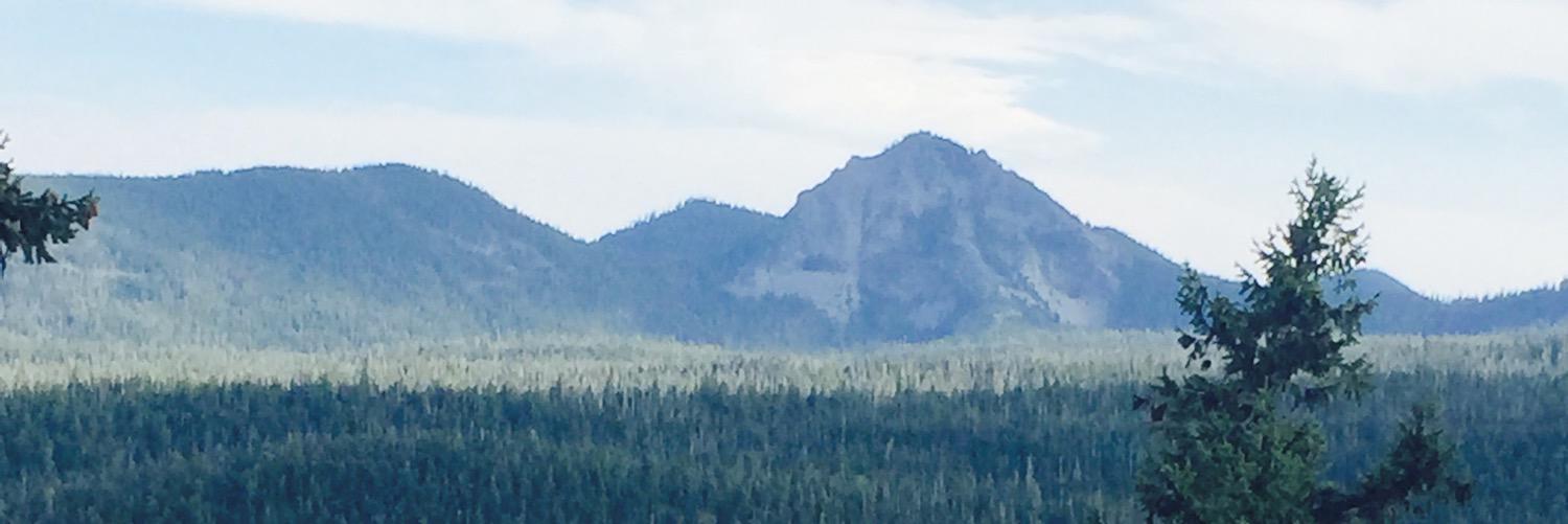 MozingoD's profile banner image