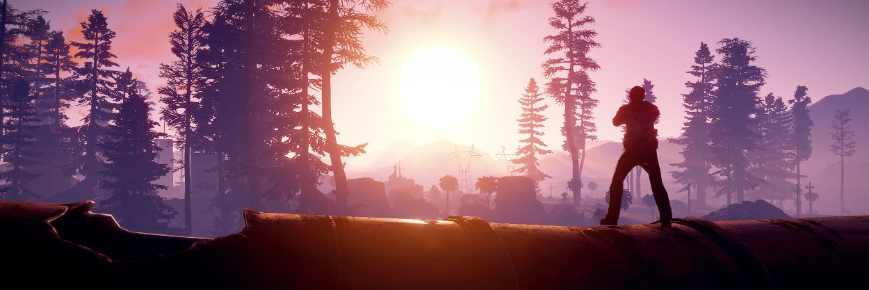 RustSupport's profile banner image