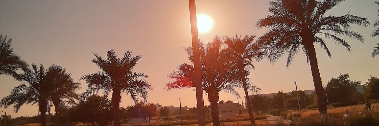 nixienixh's profile banner image