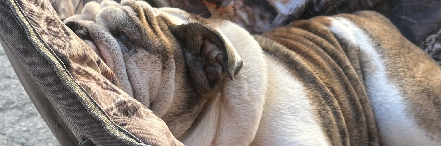 Coach Chad 🏆🏆 banner