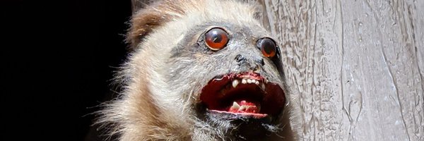 cfragoas Profile Banner