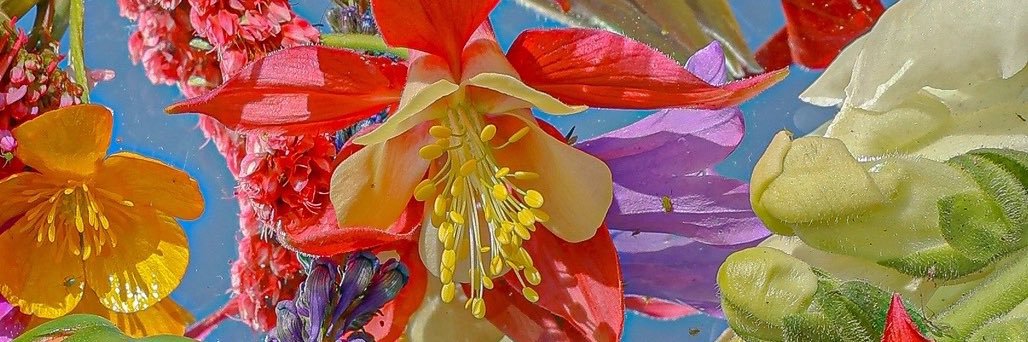HalleChanell's profile banner image