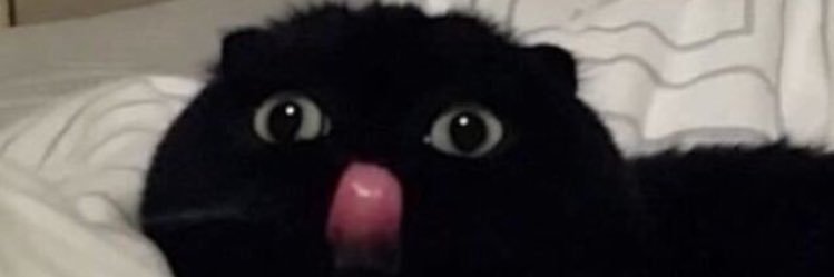 JuulOrDie's profile banner image