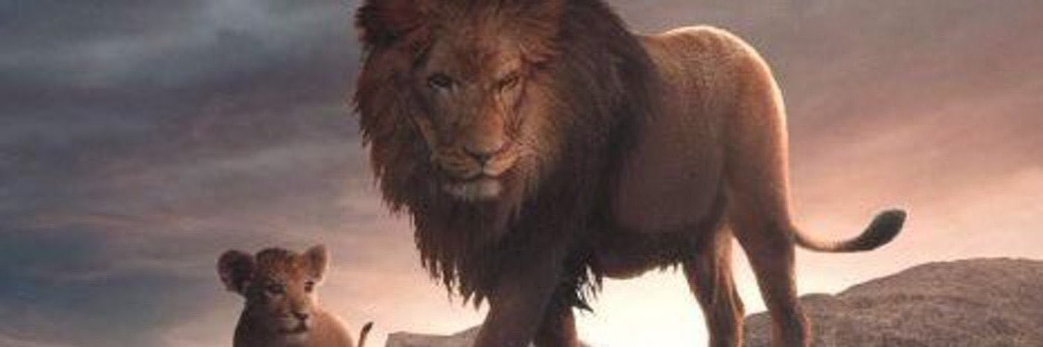 vinote_7's profile banner image