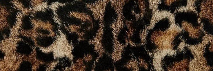 typagrl's profile banner image
