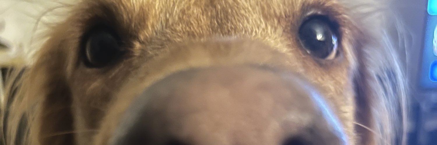 simpsthrows61's profile banner image