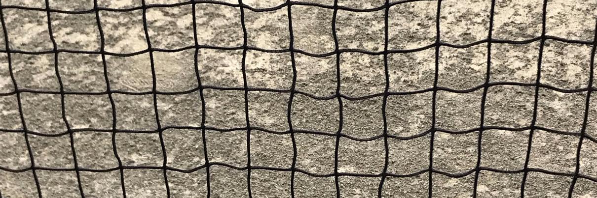 Michele Rioux banner