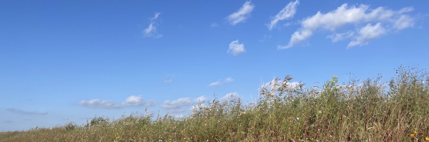 dlwns73's profile banner image