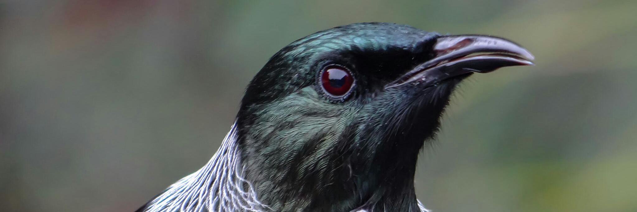MacleodJust's profile banner image