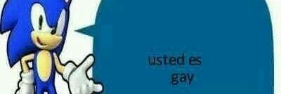 Ale Paez banner