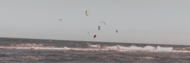 soficalegarii's profile banner image