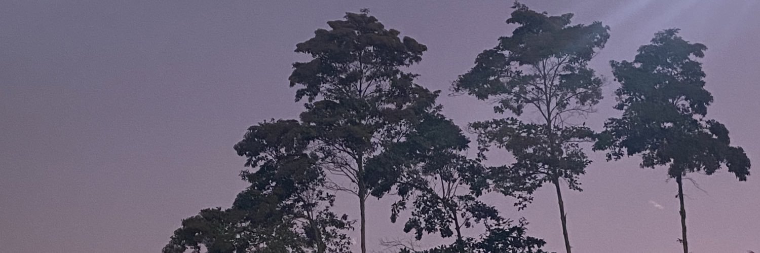 diegosantanat's profile banner image