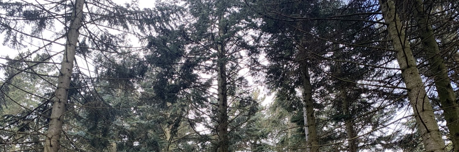 JamesTempleS's profile banner image