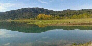 Diego Pazos Martínez banner