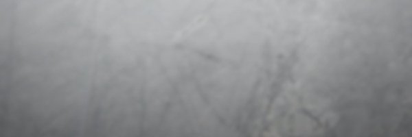 ajirui2017 Profile Banner