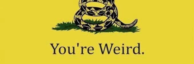 SamWiseCA's profile banner image