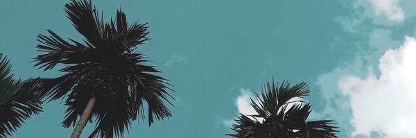 yuniklestari1's profile banner image